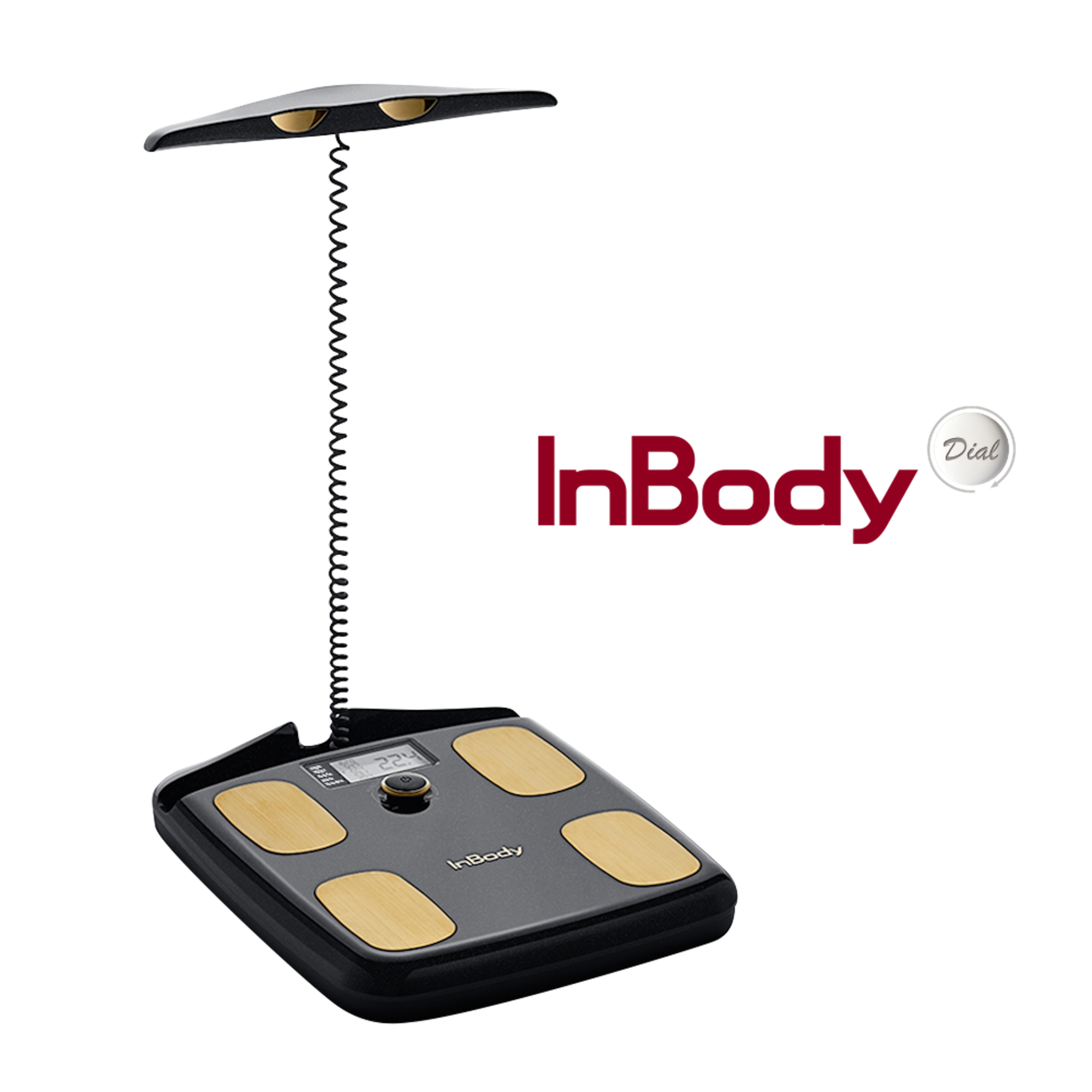 Buy InBody H20N Digital Scale Weight Management