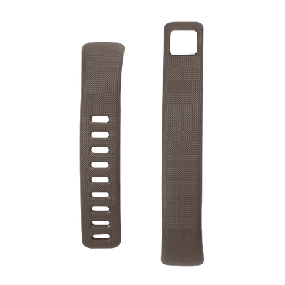 InBody BAND2 Straps - InBody HQ