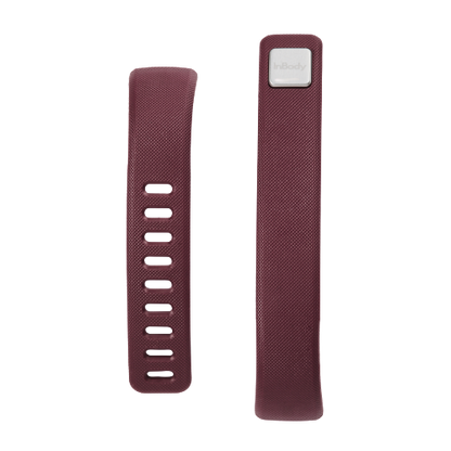 InBody BAND2 Straps - InBody HQ