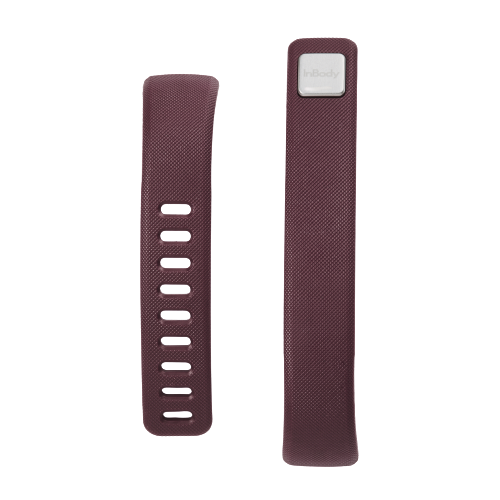 InBody BAND2 Straps - InBody HQ